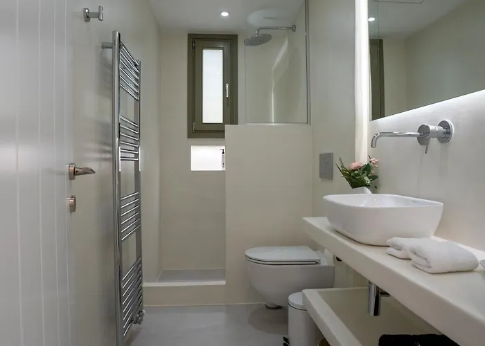 Paros Breeze Luxury Drios